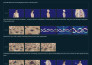 design 3d and 2d detailed medical illustrations